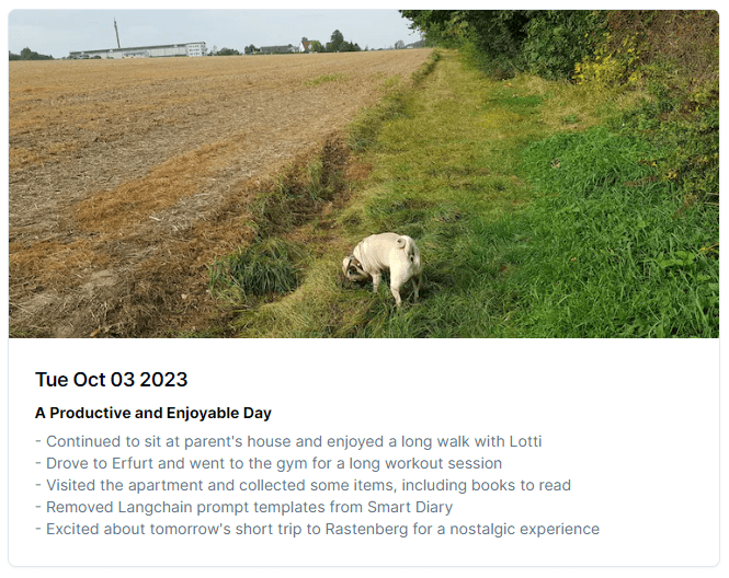 Smart Diary entry summary